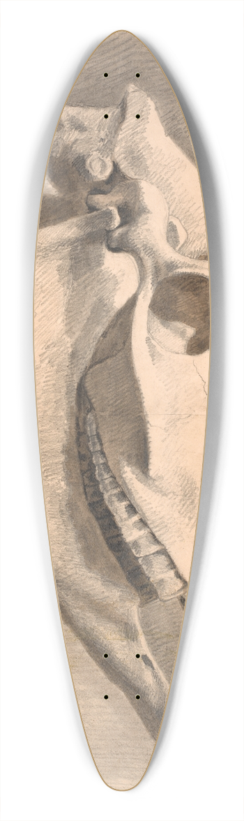 Johan Thomas Lundbye - Hestekranium 39.3 inch art pintail longboard deck