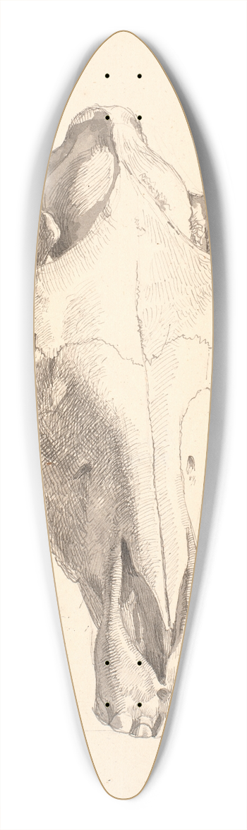 Johan Thomas Lundbye - Hjortekranium 39.3 inch art pintail longboard deck
