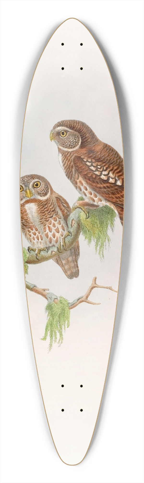 John Gould - Brodies Owlet 39.3 inch art pintail longboard deck