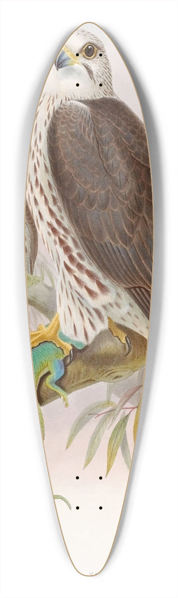 John Gould - Saker Falcon 39.3 inch art pintail longboard deck