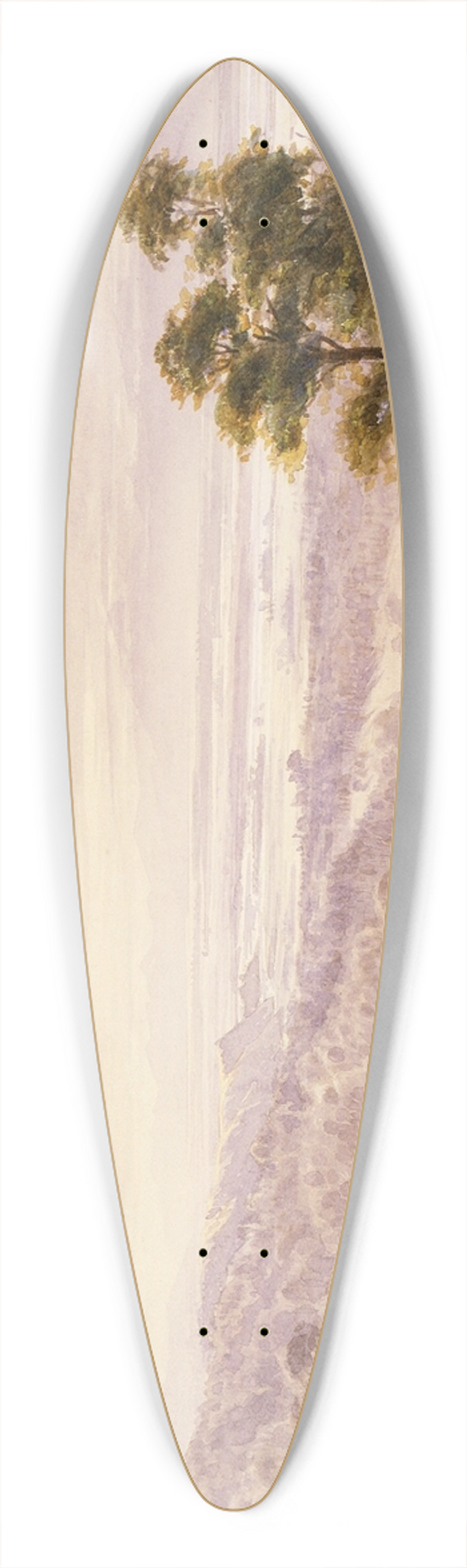 John Gully - Landscape [Waimea Plains, Nelson] 39.3 inch art pintail longboard deck