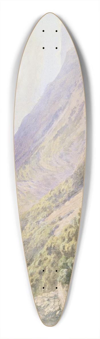 John Gully - Paekakariki 39.3 inch art pintail longboard deck