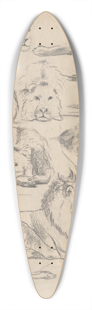 John Haberle - Studies ofLions 39.3 inch art pintail longboard deck