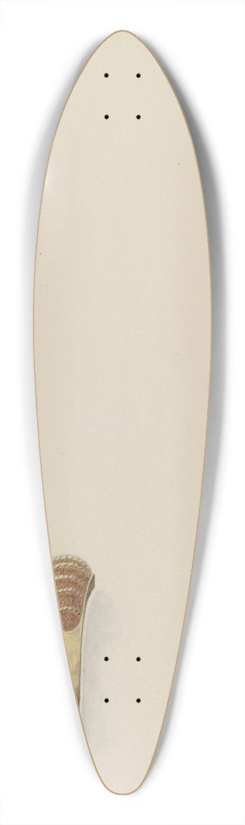 John H. Tercuzzi - Hair Ring 39.3 inch art pintail longboard deck