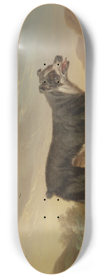 Charles Towne - Tyke 8.25 inch art skate deck