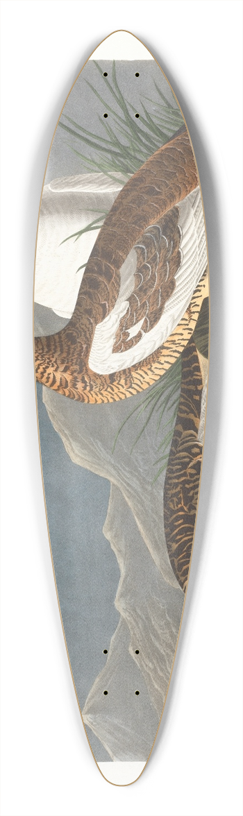John James Audubon - Rock grous 39.3 inch art pintail longboard deck