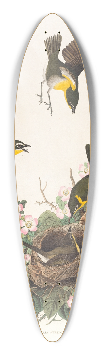 John James Audubon - Yellow-breasted chat 39.3 inch art pintail longboard deck