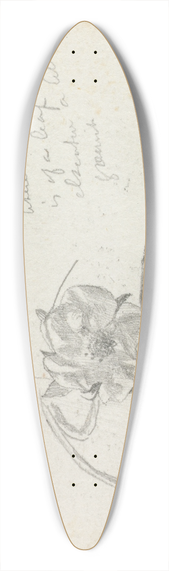John La Farge - Strawberry Blossom 39.3 inch art pintail longboard deck