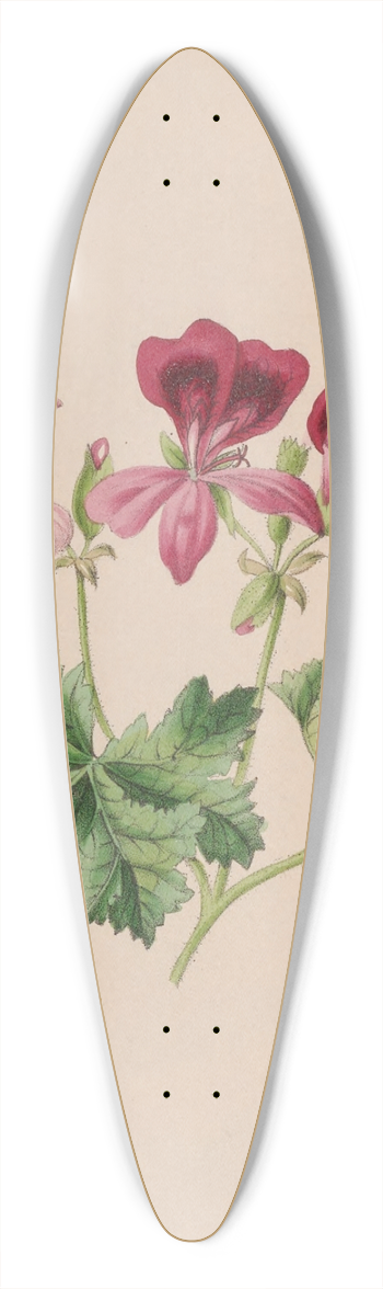 John Stevens Henslow - Harebell 39.3 inch art pintail longboard deck