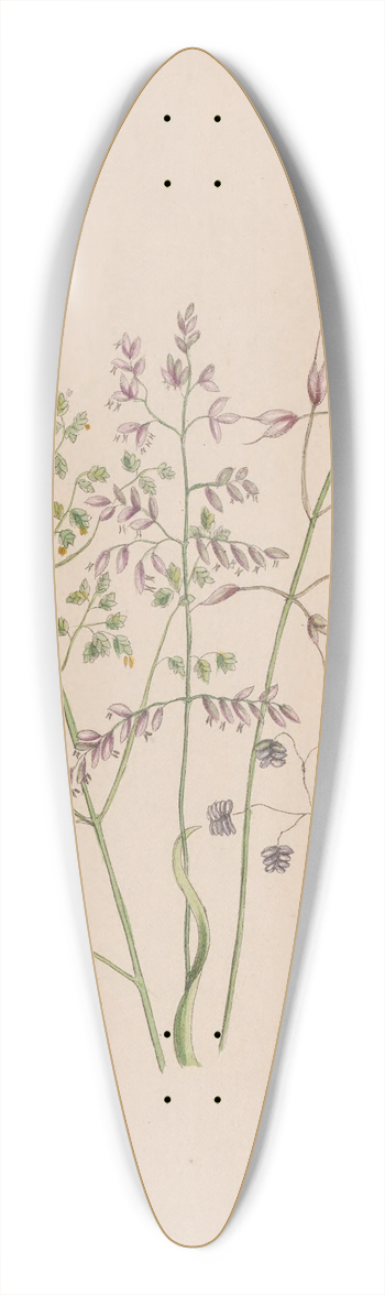 John Stevens Henslow - Moss Rose 39.3 inch art pintail longboard deck