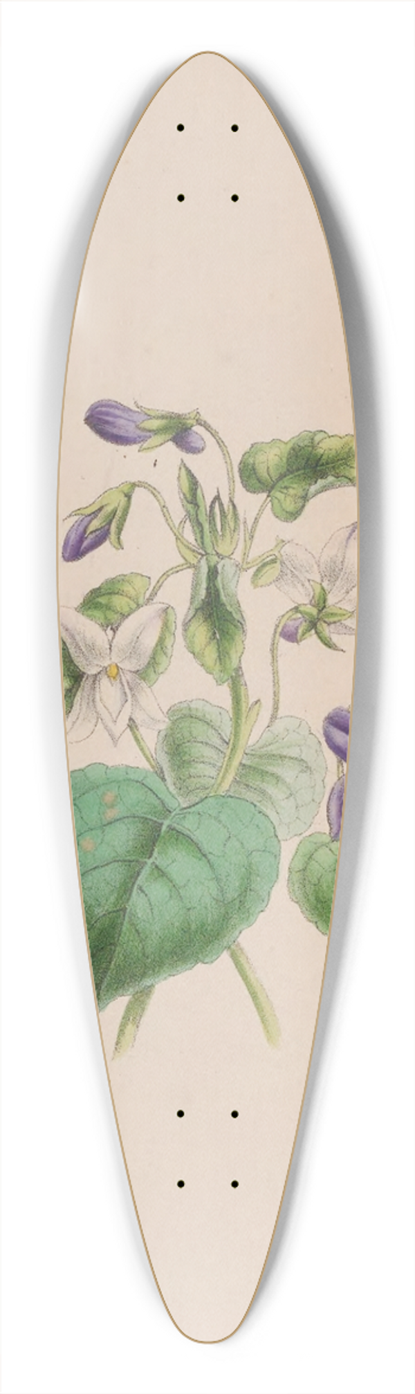 John Stevens Henslow - Sweet Scented Violet 39.3 inch art pintail longboard deck