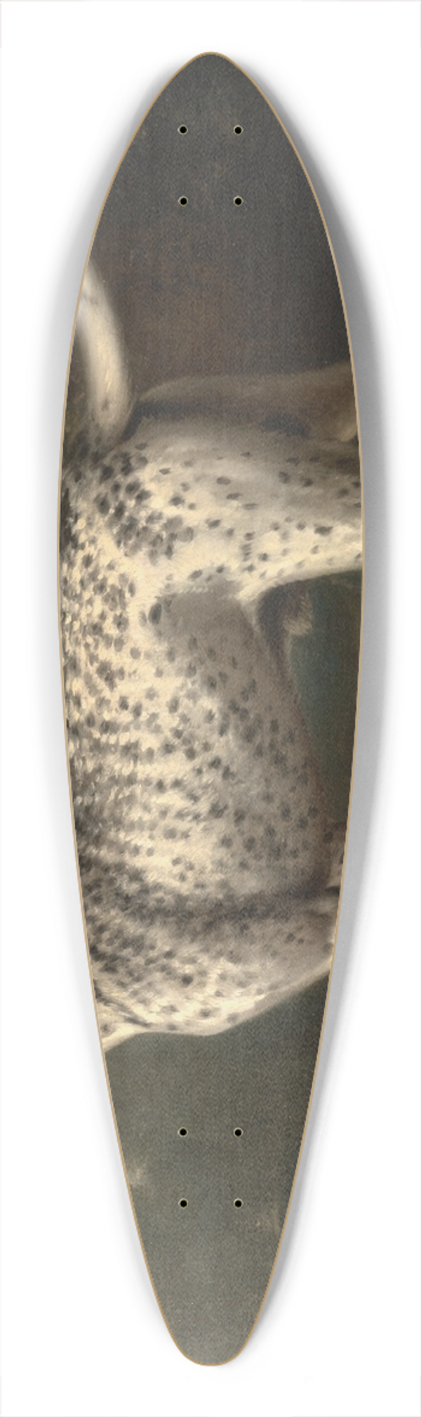 John Wootton - A Grey Spotted Hound 39.3 inch art pintail longboard deck