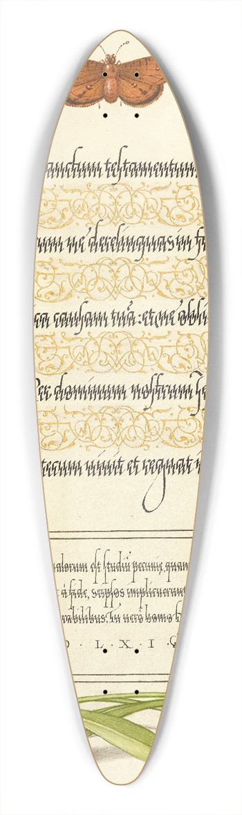 Joris Hoefnagel - Butterflies, Moth, Spider, and English Daisies 39.3 inch art pintail longboard deck