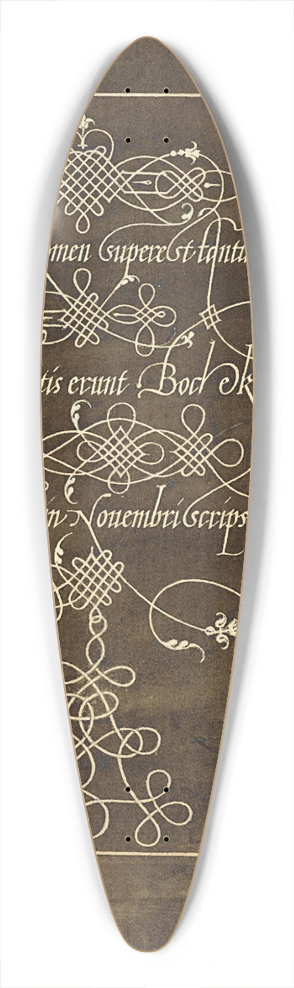 Joris Hoefnagel - Ground Beetle and Scarab 39.3 inch art pintail longboard deck