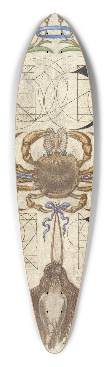 Joris Hoefnagel - Guide for Constructing the Letters x and y 39.3 inch art pintail longboard deck