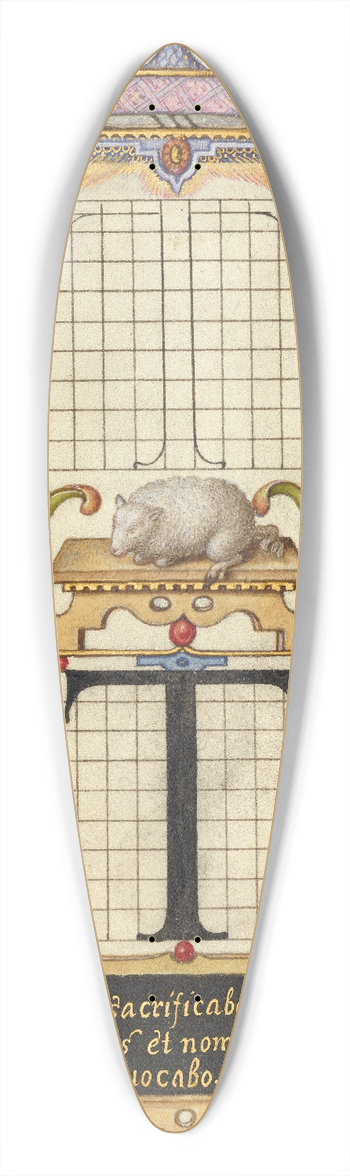 Joris Hoefnagel - Guide for Constructing the Letter T 39.3 inch art pintail longboard deck