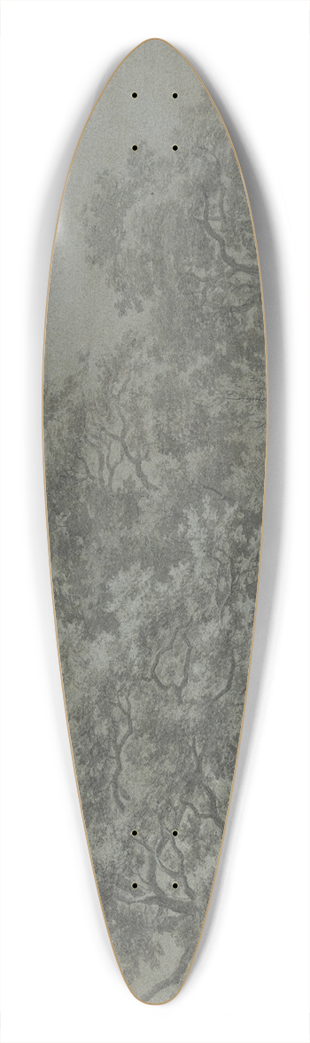 Joris van der Haagen - A pond in the forest 39.3 inch art pintail longboard deck