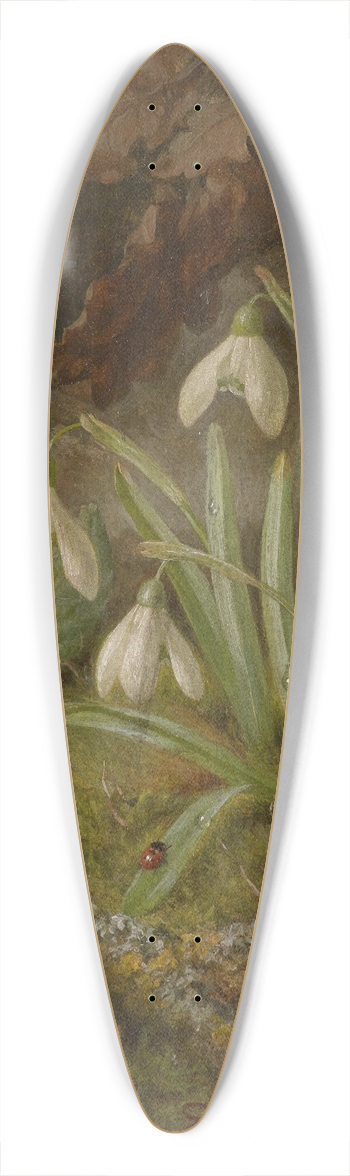 Josef Lauer - Waldbodenstck mit Schneeglckchen 39.3 inch art pintail longboard deck