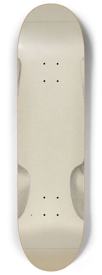 Charlotte Winter - Silver Spoon 8.25 inch art skate deck