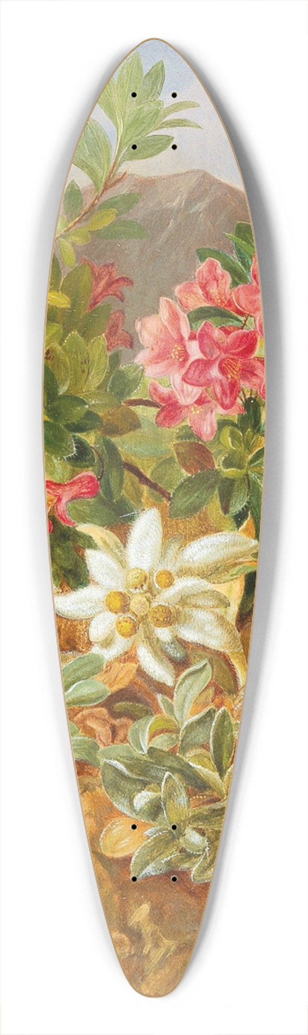 Josef Schuster - Alpine Flowers 39.3 inch art pintail longboard deck
