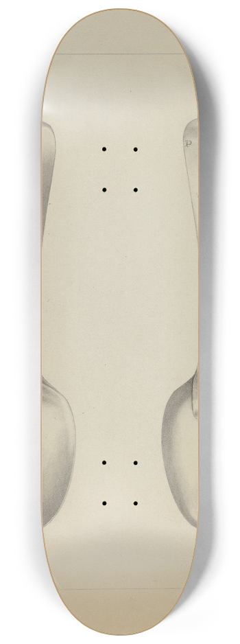 Charlotte Winter - Silver Spoon 8.25 inch art skate deck