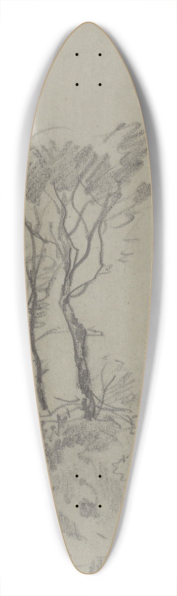 Josef Wenglein - Tree Studies 39.3 inch art pintail longboard deck
