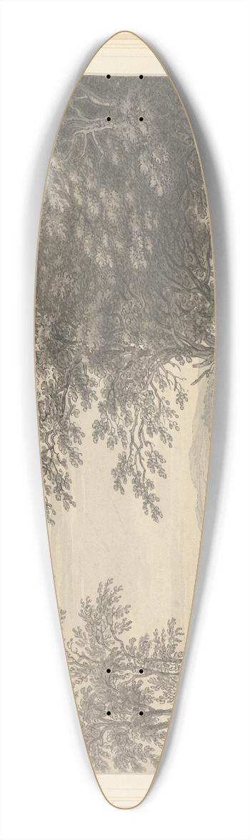 Joseph Farington - View from Rydal looking to Windermere 39.3 inch art pintail longboard deck