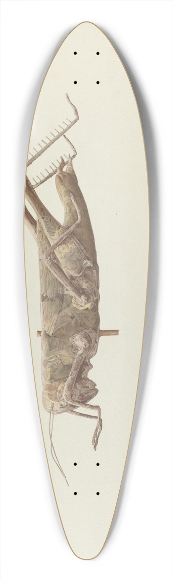 Joseph Goldberg - Grasshopper Weather Vane 39.3 inch art pintail longboard deck