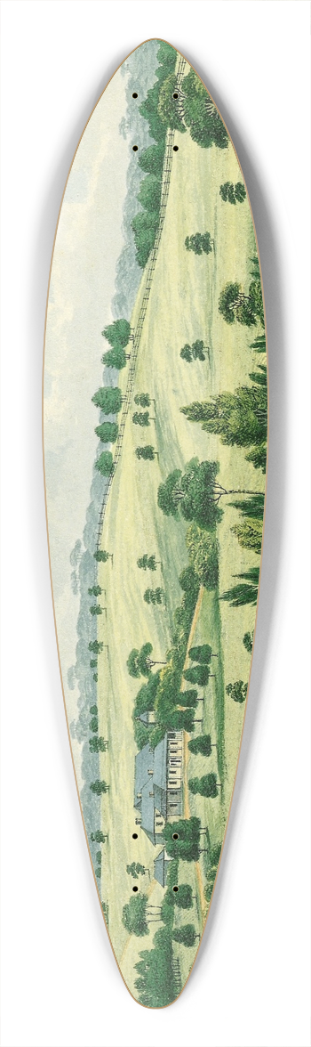 Joseph Lycett - Residence of John Macarthur Esq near Parramatta N.S.W. 39.3 inch art pintail longboard deck