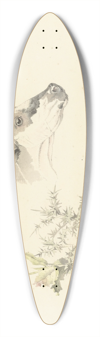 Josephus Augustus Knip - Kop van een koe en twee planten 39.3 inch art pintail longboard deck