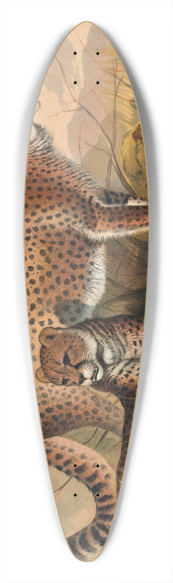 Joseph Wolf - The Cheetah 39.3 inch art pintail longboard deck