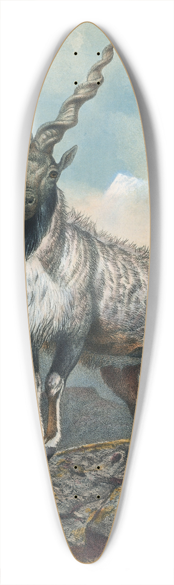 Joseph Wolf - The Markhore 39.3 inch art pintail longboard deck
