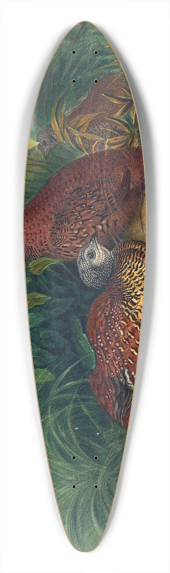 Joseph Wolf - The Painted Spur-Fowl 39.3 inch art pintail longboard deck