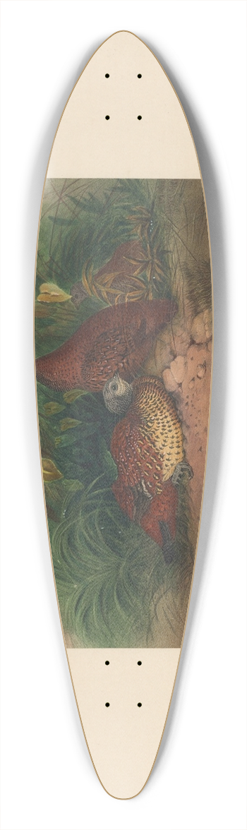 Joseph Wolf - The Painted Spur-Fowl 39.3 inch art pintail longboard deck