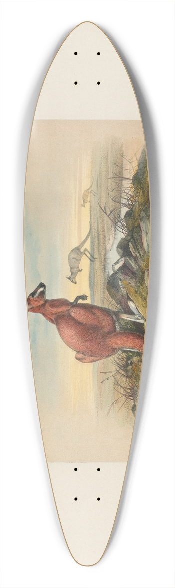 Joseph Wolf - The Red Kangaroo 39.3 inch art pintail longboard deck