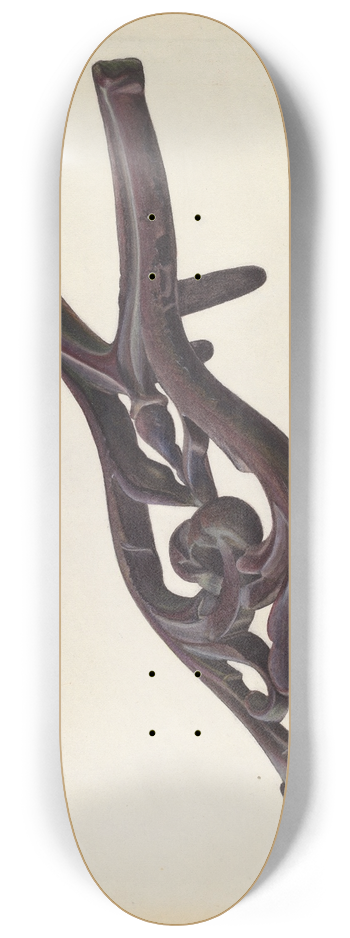 Chris Makrenos - Bootjack 8.25 inch art skate deck