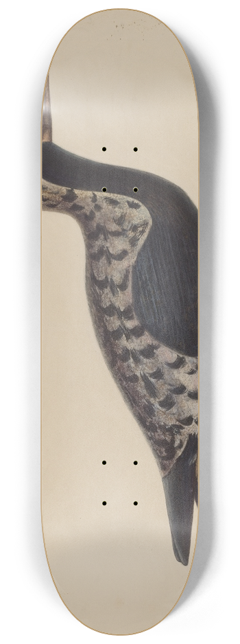 Chris Makrenos - Wooden Decoy 8.25 inch art skate deck