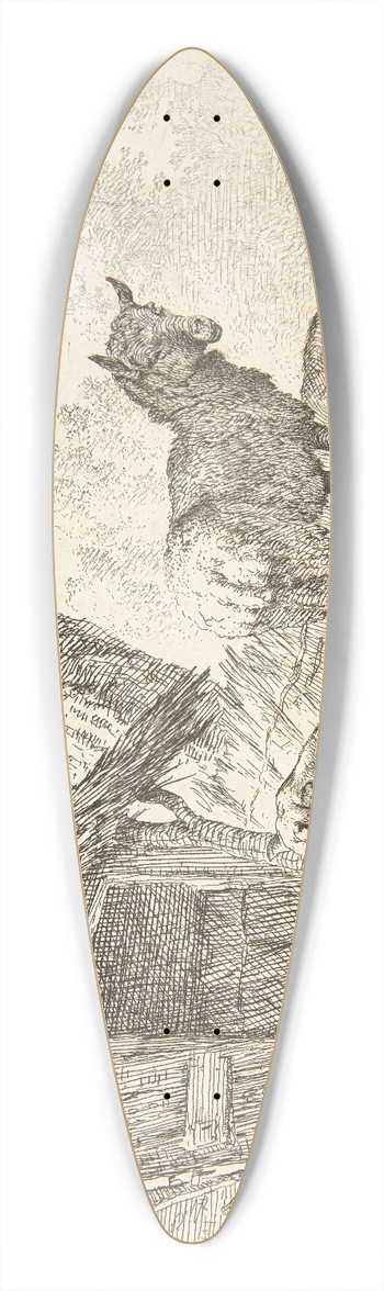 Karel Dujardin - Fire fr 39.3 inch art pintail longboard deck