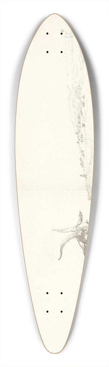 Karel Dujardin - Tre geder og to fr 39.3 inch art pintail longboard deck