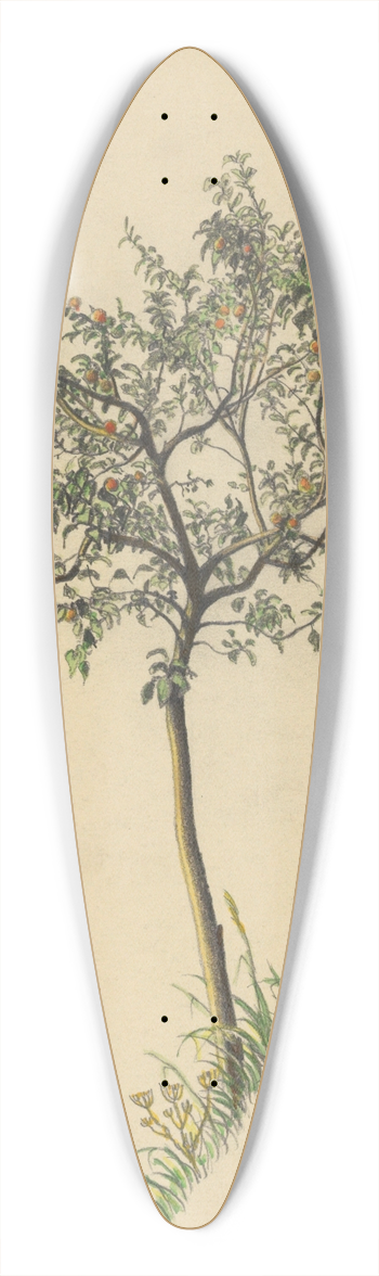 Karl Wiener - Ohne Titel (Obstbaum) 39.3 inch art pintail longboard deck