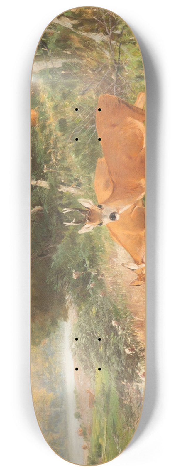 Christian Krner - Red deer on a forest clearing 8.25 inch art skate deck