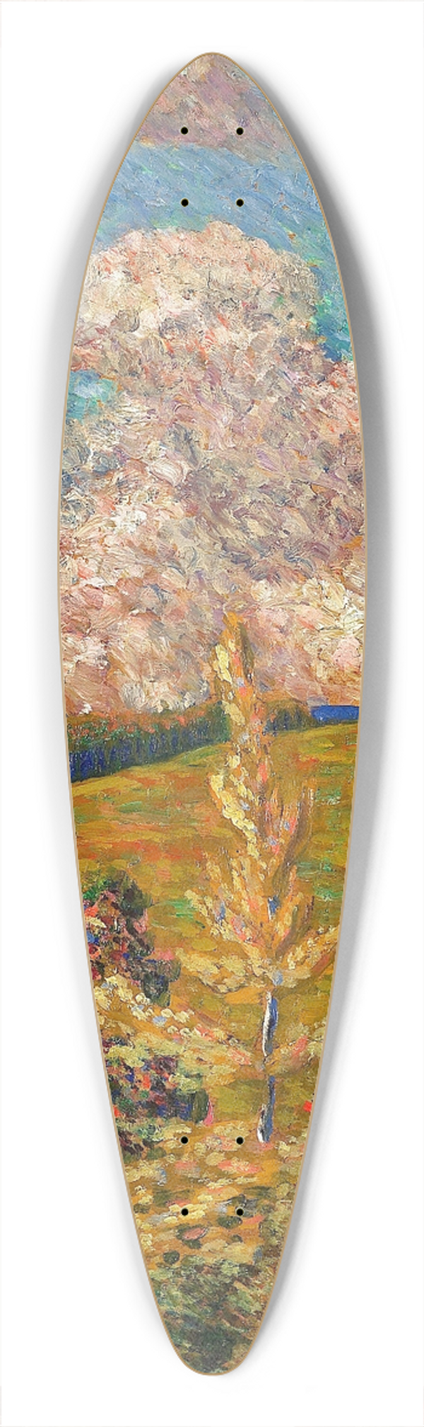 Konrad Mgi - Maastik 39.3 inch art pintail longboard deck