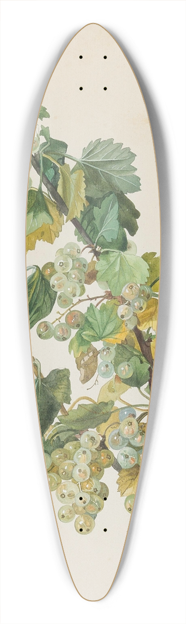 Leopold Zinngger - Grne Ribisel 39.3 inch art pintail longboard deck