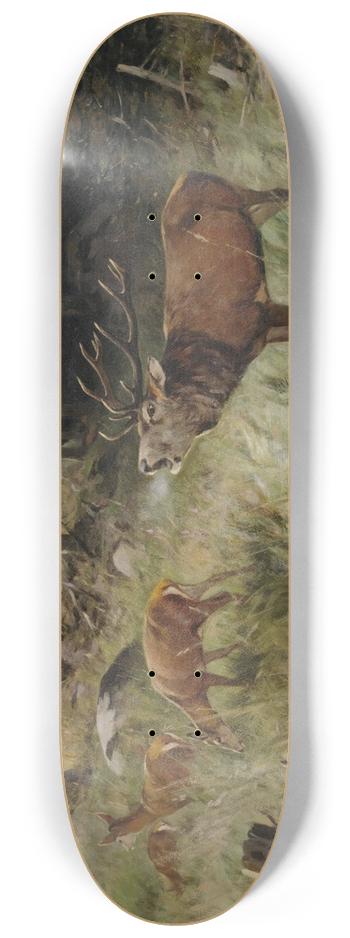 Christoffer Drathmann - Rhrender Hirsch und Rehe am Waldrand 8.25 inch art skate deck