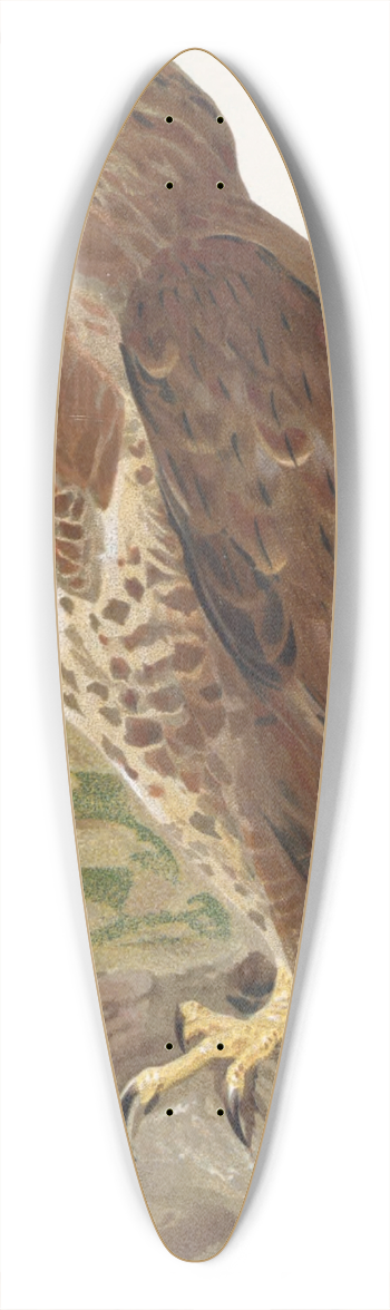 Lo-Paul Robert - Buse 39.3 inch art pintail longboard deck