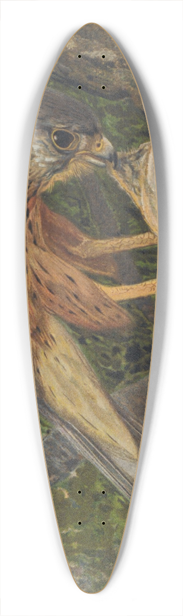 Lo-Paul Robert - Crcerelle 39.3 inch art pintail longboard deck