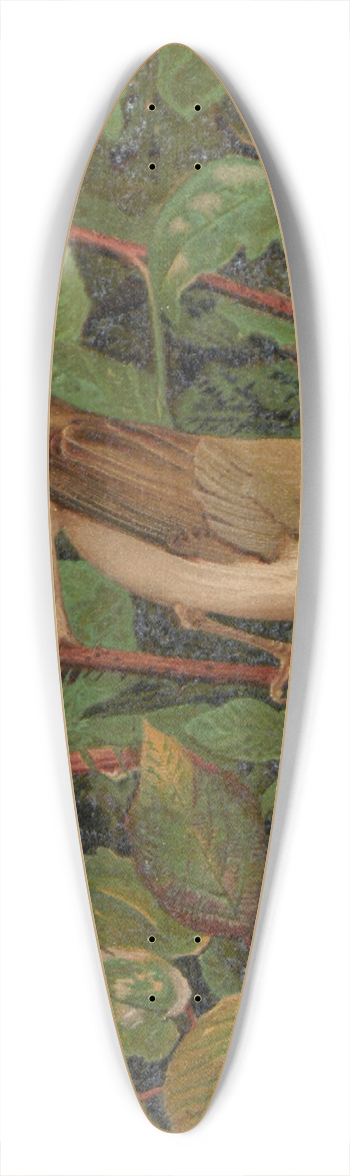 Lo-Paul Robert - Fauvette a tte noire 39.3 inch art pintail longboard deck
