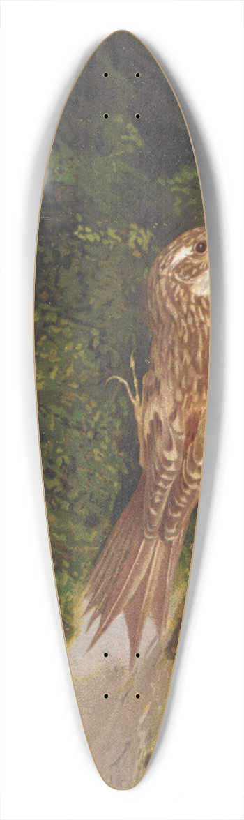 Lo-Paul Robert - Grimpereau 39.3 inch art pintail longboard deck