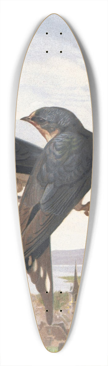 Lo-Paul Robert - Hirondelle de Chemine 39.3 inch art pintail longboard deck