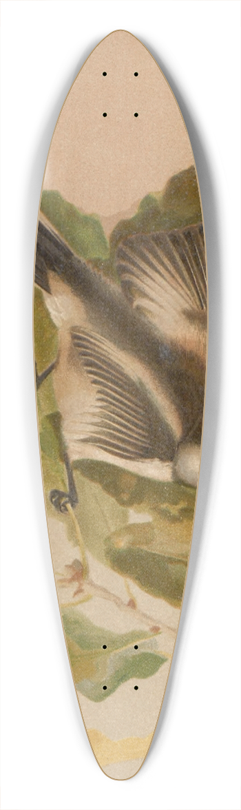 Lo-Paul Robert - Msange a longue queue 39.3 inch art pintail longboard deck